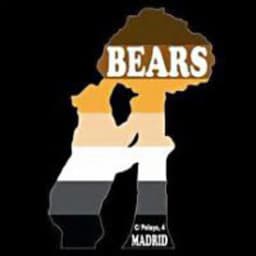 Bears Bar logo