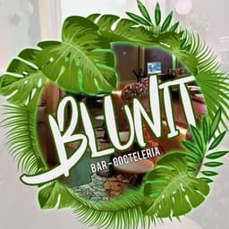 Blunit logo