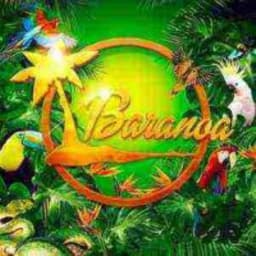Baranoa logo