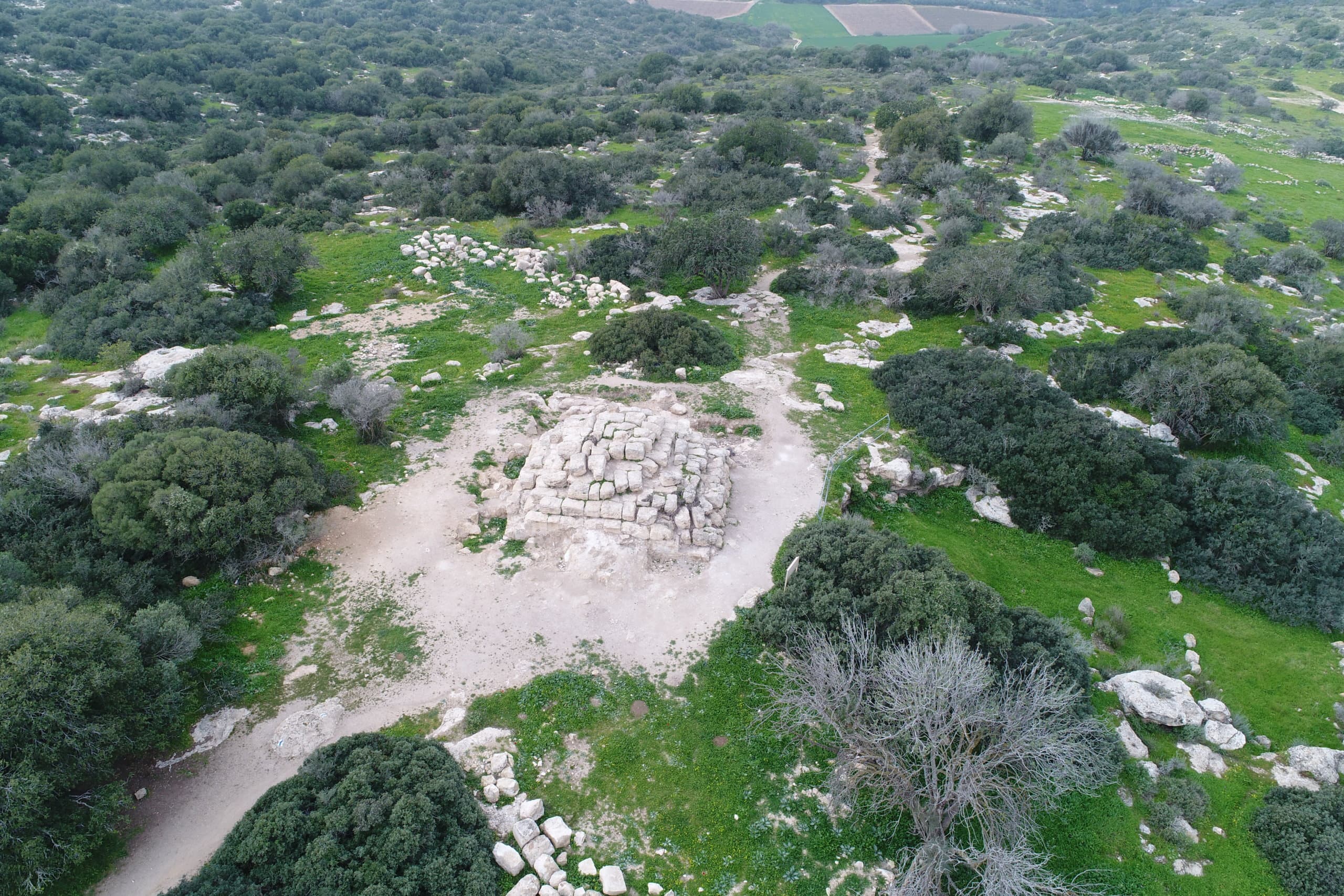 חיבורים עם סתיו בטבע