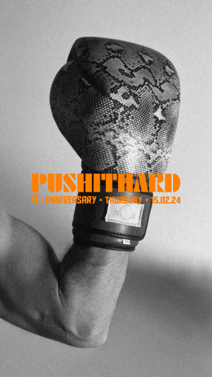 PUSHITHARD - 4TH ANNIVERSARY - 15.02