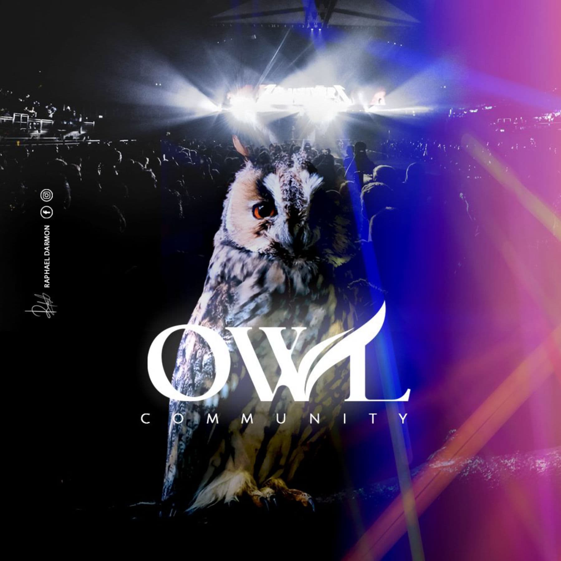 Owl Community 9/6